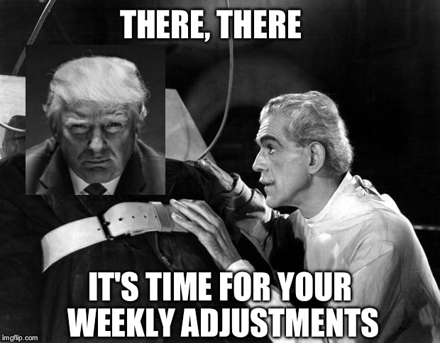 THERE, THERE; IT'S TIME FOR YOUR WEEKLY ADJUSTMENTS | image tagged in dr frankenstein,trump | made w/ Imgflip meme maker