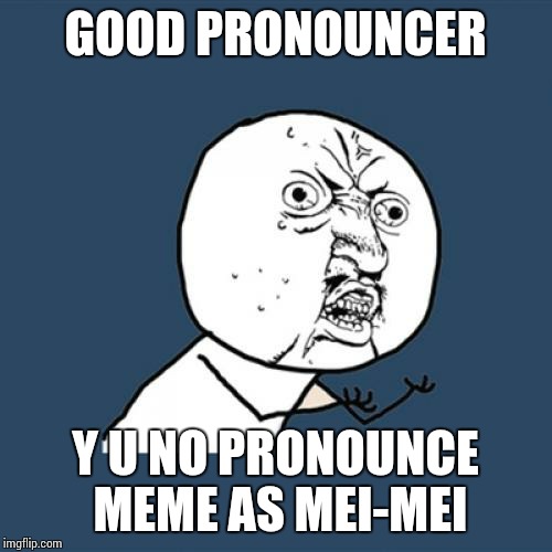Y U No Meme | GOOD PRONOUNCER; Y U NO PRONOUNCE MEME AS MEI-MEI | image tagged in memes,y u no | made w/ Imgflip meme maker