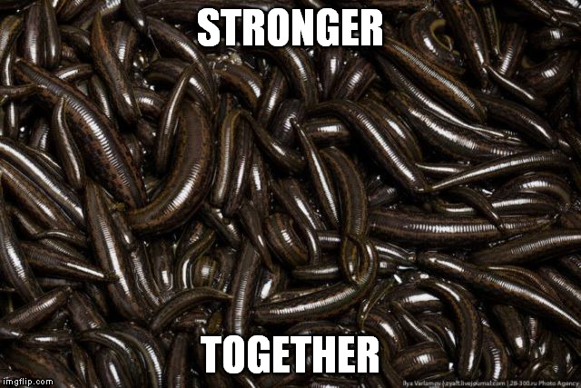 STRONGER; TOGETHER | made w/ Imgflip meme maker