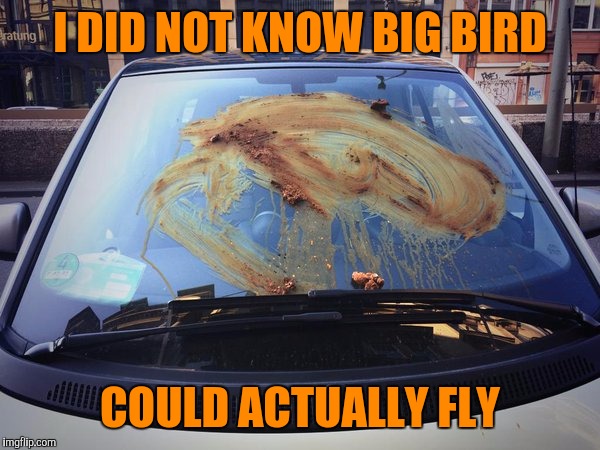 I DID NOT KNOW BIG BIRD COULD ACTUALLY FLY | made w/ Imgflip meme maker