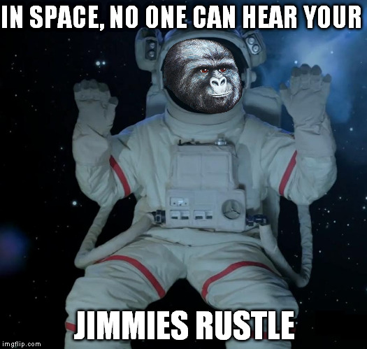 Impossibru Biiiiitch | IN SPACE, NO ONE CAN HEAR YOUR JIMMIES RUSTLE | image tagged in impossibru biiiiitch | made w/ Imgflip meme maker