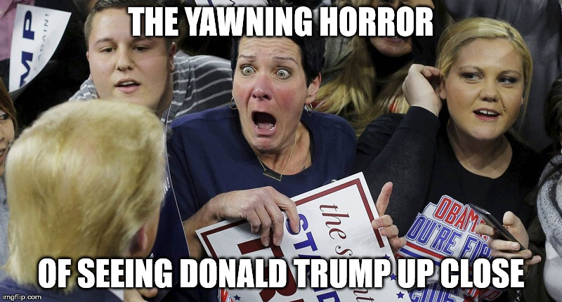 Shocked Trump Lady | THE YAWNING HORROR; OF SEEING DONALD TRUMP UP CLOSE | image tagged in shocked trump lady | made w/ Imgflip meme maker