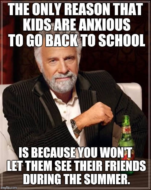 The Most Interesting Man In The World | THE ONLY REASON THAT KIDS ARE ANXIOUS TO GO BACK TO SCHOOL; IS BECAUSE YOU WON'T LET THEM SEE THEIR FRIENDS DURING THE SUMMER. | image tagged in memes,the most interesting man in the world | made w/ Imgflip meme maker
