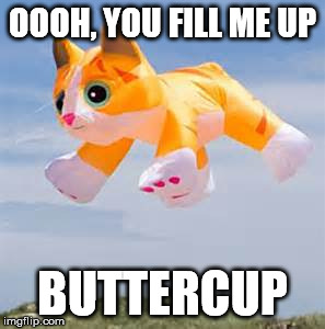 Inflatable Cat | OOOH, YOU FILL ME UP BUTTERCUP | image tagged in inflatable cat | made w/ Imgflip meme maker