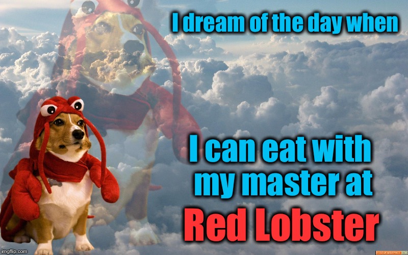 Every dog will have his day............ | I dream of the day when; I can eat with my master at; Red Lobster | image tagged in lobster dog,funny,memes,evilmandoevil | made w/ Imgflip meme maker