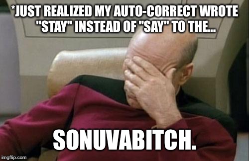 Captain Picard Facepalm Meme | *JUST REALIZED MY AUTO-CORRECT WROTE "STAY" INSTEAD OF "SAY" TO THE... SONUVAB**CH. | image tagged in memes,captain picard facepalm | made w/ Imgflip meme maker
