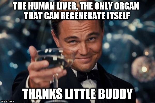 I thought I was doomed | THE HUMAN LIVER, THE ONLY ORGAN THAT CAN REGENERATE ITSELF; THANKS LITTLE BUDDY | image tagged in memes,leonardo dicaprio cheers | made w/ Imgflip meme maker
