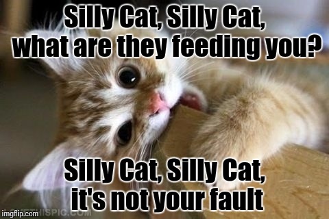 Homage to Pheobe off of Friends | Silly Cat, Silly Cat, what are they feeding you? Silly Cat, Silly Cat, it's not your fault | image tagged in that's just silly cat,friends,cats | made w/ Imgflip meme maker