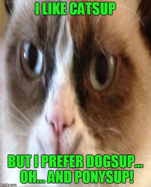 I LIKE CATSUP BUT I PREFER DOGSUP... OH... AND PONYSUP! | made w/ Imgflip meme maker