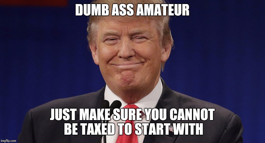 Paying taxes is not meant for everybody | DUMB ASS AMATEUR; JUST MAKE SURE YOU CANNOT BE TAXED TO START WITH | image tagged in the d,memes,trump 2016 | made w/ Imgflip meme maker