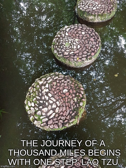 THE JOURNEY OF A THOUSAND MILES BEGINS WITH ONE STEP. LAO TZU | image tagged in healing | made w/ Imgflip meme maker