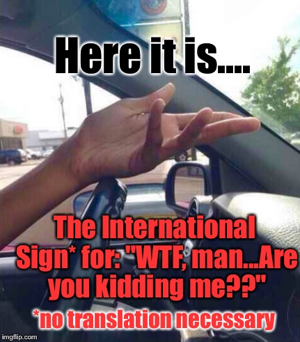 Found It, Memed It, HAD To Do It:  | Here it is.... The International Sign* for: "WTF, man...Are you kidding me??"; *no translation necessary | image tagged in wtf driver,memes | made w/ Imgflip meme maker