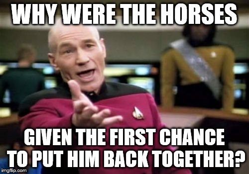 Picard Wtf Meme | WHY WERE THE HORSES GIVEN THE FIRST CHANCE TO PUT HIM BACK TOGETHER? | image tagged in memes,picard wtf | made w/ Imgflip meme maker