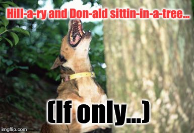 I'm No Fan Of Either:  | Hill-a-ry and Don-ald sittin-in-a-tree... (If only...) | image tagged in dog barking up tree,election 2016,trump,hillary clinton,funny memes | made w/ Imgflip meme maker