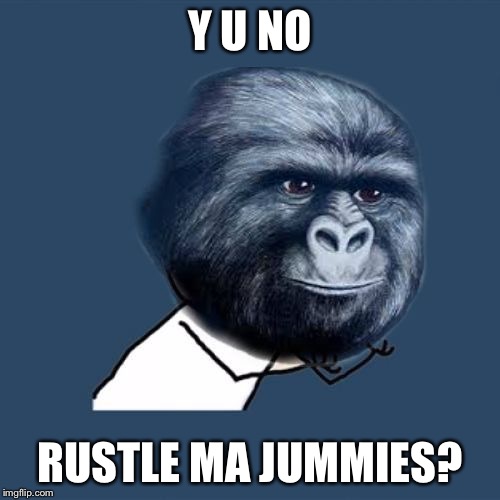 Y Nut? | Y U NO; RUSTLE MA JUMMIES? | image tagged in y u no jimmies,memes | made w/ Imgflip meme maker