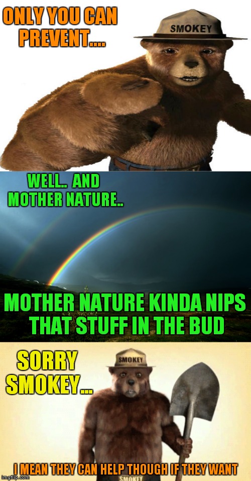 I'm pretty sure I can't compete... | ONLY YOU CAN PREVENT.... WELL..  AND MOTHER NATURE.. MOTHER NATURE KINDA NIPS THAT STUFF IN THE BUD; SORRY SMOKEY... I MEAN THEY CAN HELP THOUGH IF THEY WANT | image tagged in smokey the bear,mother nature | made w/ Imgflip meme maker