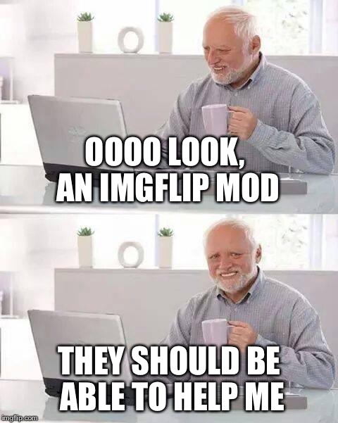 Hide the Pain Harold | OOOO LOOK, AN IMGFLIP MOD; THEY SHOULD BE ABLE TO HELP ME | image tagged in memes,hide the pain harold,imgflip | made w/ Imgflip meme maker