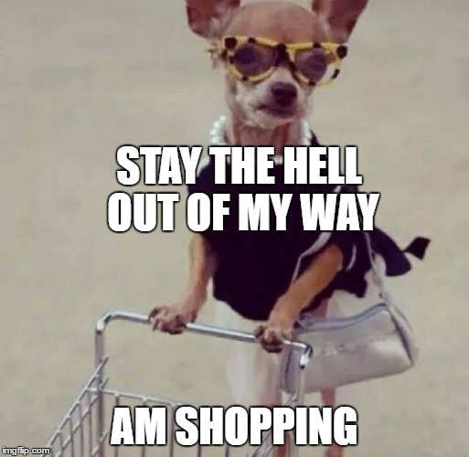 Salefee Memes | STAY THE HELL OUT OF MY WAY; AM SHOPPING | image tagged in shopping | made w/ Imgflip meme maker