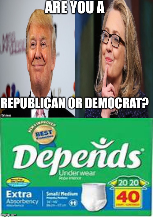 for the independent voters | ARE YOU A; REPUBLICAN OR DEMOCRAT? | image tagged in memes | made w/ Imgflip meme maker