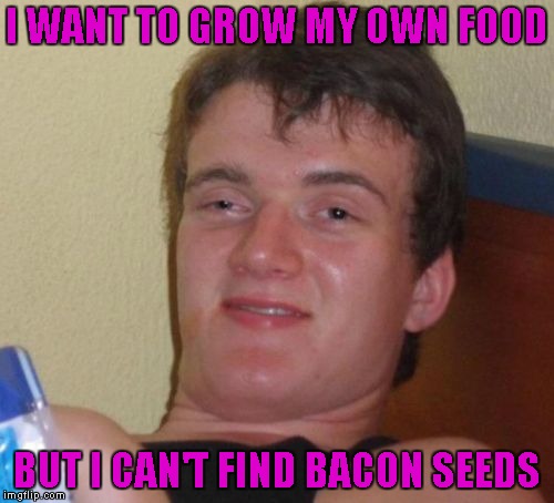 10 Guy | I WANT TO GROW MY OWN FOOD; BUT I CAN'T FIND BACON SEEDS | image tagged in memes,10 guy | made w/ Imgflip meme maker