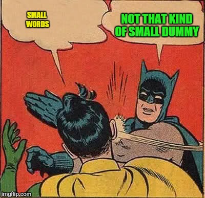 Batman Slapping Robin Meme | SMALL WORDS NOT THAT KIND OF SMALL DUMMY | image tagged in memes,batman slapping robin | made w/ Imgflip meme maker