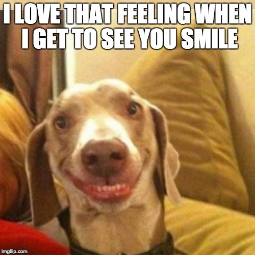 Big Smile Doggie Latest Memes Imgflip