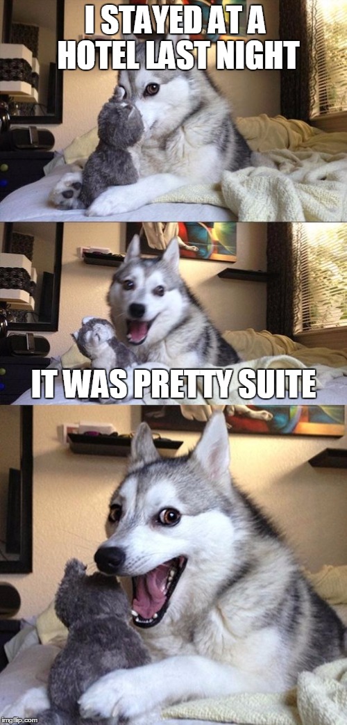Bad Joke Dog | I STAYED AT A HOTEL LAST NIGHT; IT WAS PRETTY SUITE | image tagged in bad joke dog | made w/ Imgflip meme maker