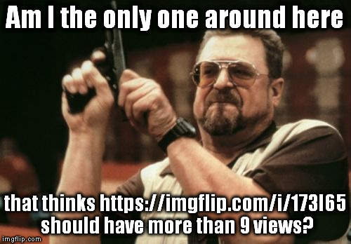 Am I The Only One Around Here | Am I the only one around here; that thinks https://imgflip.com/i/173l65 should have more than 9 views? | image tagged in memes,am i the only one around here | made w/ Imgflip meme maker