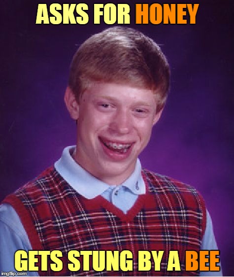 Bad Luck Brian Meme | ASKS FOR HONEY GETS STUNG BY A BEE HONEY BEE | image tagged in memes,bad luck brian | made w/ Imgflip meme maker