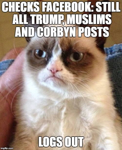 Grumpy Cat | CHECKS FACEBOOK:
STILL ALL TRUMP, MUSLIMS AND CORBYN POSTS; LOGS OUT | image tagged in memes,grumpy cat | made w/ Imgflip meme maker