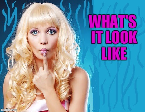 ditzy blonde | WHAT'S IT LOOK LIKE | image tagged in ditzy blonde | made w/ Imgflip meme maker