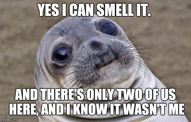 Awkward Moment Sealion Meme | YES I CAN SMELL IT. AND THERE'S ONLY TWO OF US HERE, AND I KNOW IT WASN'T ME | image tagged in memes,awkward moment sealion | made w/ Imgflip meme maker