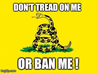 Another flag under attack  | DON'T TREAD ON ME; OR BAN ME ! | image tagged in gadsden flag | made w/ Imgflip meme maker