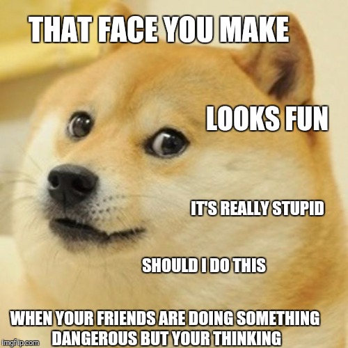 Doge | THAT FACE YOU MAKE; LOOKS FUN; IT'S REALLY STUPID; SHOULD I DO THIS; WHEN YOUR FRIENDS ARE DOING SOMETHING DANGEROUS BUT YOUR THINKING | image tagged in memes,doge | made w/ Imgflip meme maker