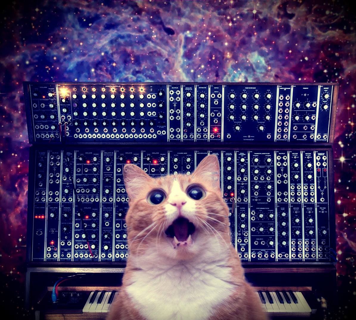 High Quality Cat on synthesizer in space Blank Meme Template