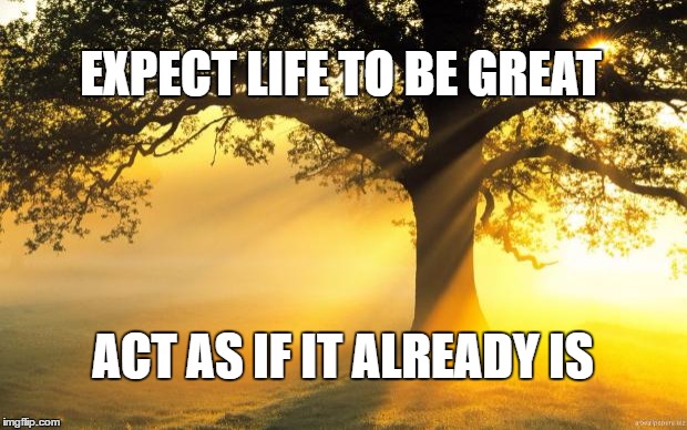nature | EXPECT LIFE TO BE GREAT; ACT AS IF IT ALREADY IS | image tagged in nature | made w/ Imgflip meme maker