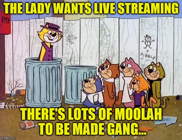 THE LADY WANTS LIVE STREAMING THERE'S LOTS OF MOOLAH TO BE MADE GANG... | made w/ Imgflip meme maker