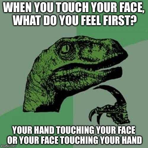 Philosoraptor | WHEN YOU TOUCH YOUR FACE, WHAT DO YOU FEEL FIRST? YOUR HAND TOUCHING YOUR FACE OR YOUR FACE TOUCHING YOUR HAND | image tagged in memes,philosoraptor | made w/ Imgflip meme maker