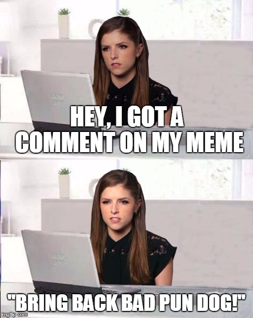 Grr | HEY, I GOT A COMMENT ON MY MEME; "BRING BACK BAD PUN DOG!" | image tagged in hide the pain anna,memes,bad pun anna kendrick,bad pun dog,meme war | made w/ Imgflip meme maker
