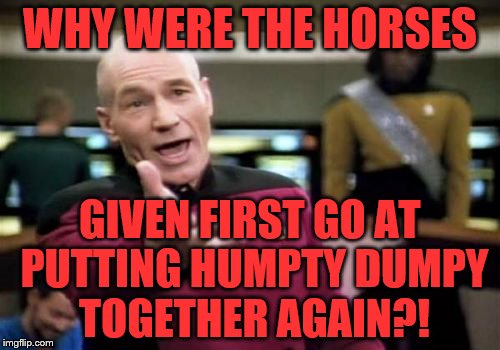 Use some common sense... | WHY WERE THE HORSES; GIVEN FIRST GO AT PUTTING HUMPTY DUMPY TOGETHER AGAIN?! | image tagged in memes,picard wtf,humpty dumpty,nursery rhymes,horses | made w/ Imgflip meme maker