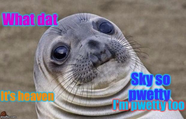 Awkward Moment Sealion Meme | What dat; Sky so pwetty; It's heaven; I'm pwetty too | image tagged in memes,awkward moment sealion,scumbag | made w/ Imgflip meme maker