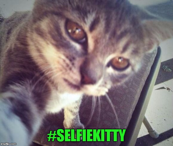 #SELFIEKITTY | made w/ Imgflip meme maker