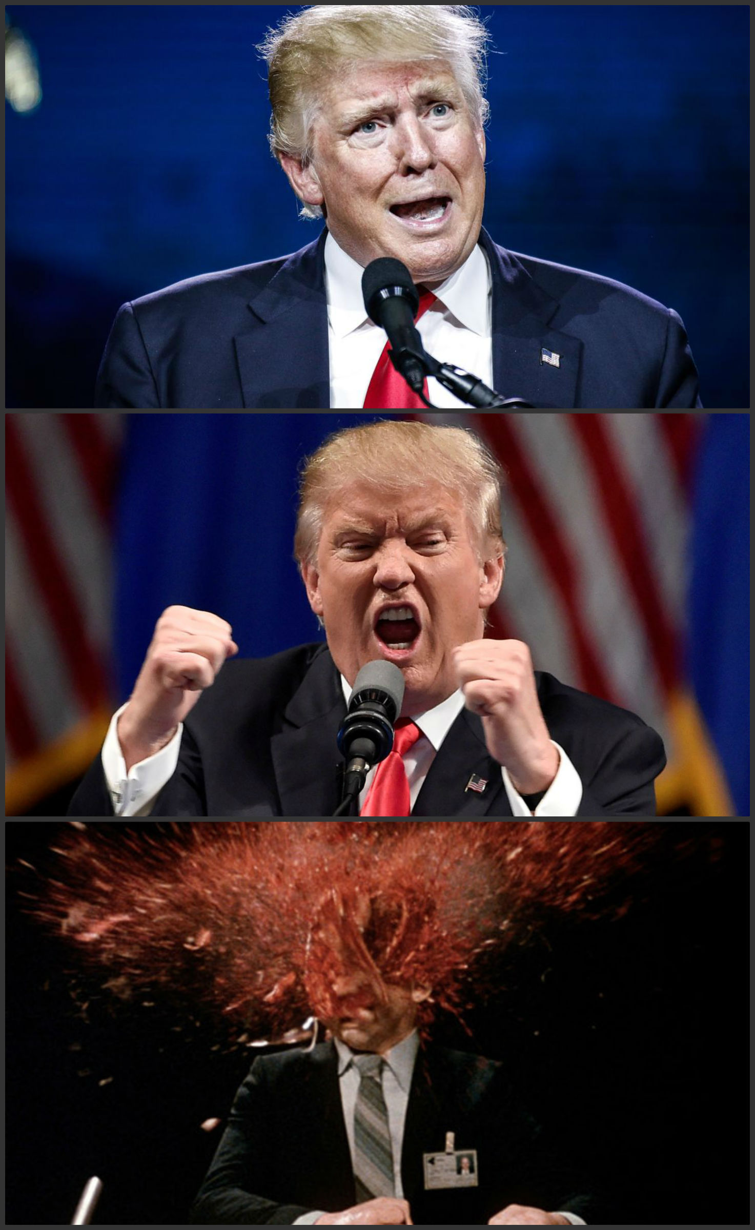 Donald Trump Blank Meme Template