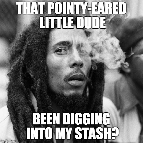 THAT POINTY-EARED LITTLE DUDE BEEN DIGGING INTO MY STASH? | made w/ Imgflip meme maker