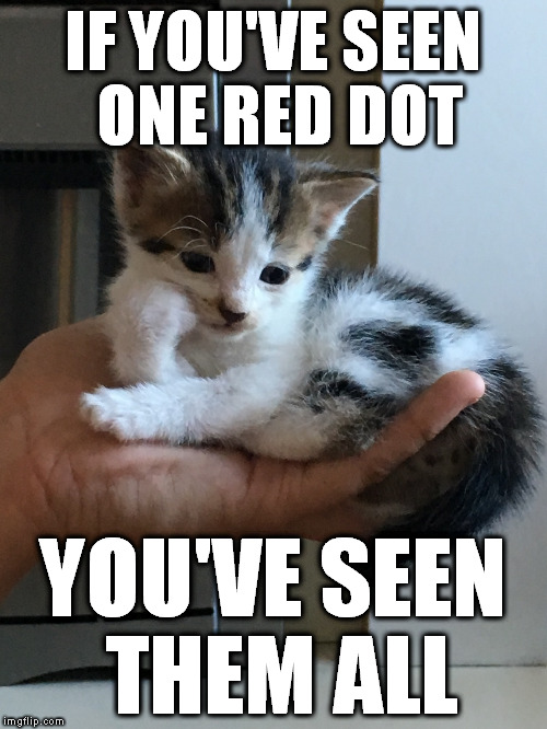 Spent an hour and a half reading cat memes on Google Images when I tried to check if this was a repost... | IF YOU'VE SEEN ONE RED DOT; YOU'VE SEEN THEM ALL | image tagged in cynical-kitten,meme,red dot | made w/ Imgflip meme maker