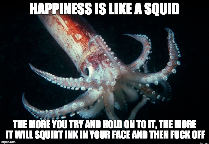Happiness is like a squid | HAPPINESS IS LIKE A SQUID; THE MORE YOU TRY AND HOLD ON TO IT, THE MORE IT WILL SQUIRT INK IN YOUR FACE AND THEN FUCK OFF | image tagged in happiness,happiness is,squid | made w/ Imgflip meme maker