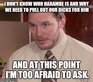 Afraid To Ask Andy (Closeup) | I DON'T KNOW WHO HARAMBE IS AND WHY WE NEED TO PULL OUT OUR DICKS FOR HIM; AND AT THIS POINT I'M TOO AFRAID TO ASK. | image tagged in memes,afraid to ask andy closeup,AdviceAnimals | made w/ Imgflip meme maker