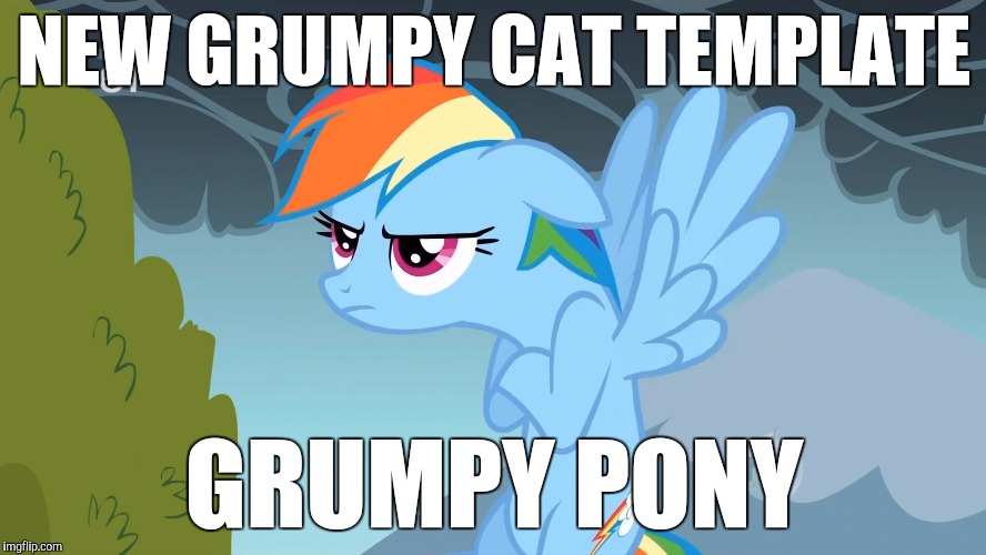 Grumpy Pony | NEW GRUMPY CAT TEMPLATE; GRUMPY PONY | image tagged in grumpy pony | made w/ Imgflip meme maker
