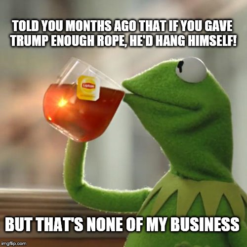 But That's None Of My Business | TOLD YOU MONTHS AGO THAT IF YOU GAVE TRUMP ENOUGH ROPE, HE'D HANG HIMSELF! BUT THAT'S NONE OF MY BUSINESS | image tagged in memes,but thats none of my business,kermit the frog | made w/ Imgflip meme maker