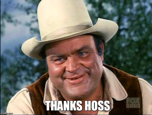Hoss | THANKS HOSS | image tagged in hoss | made w/ Imgflip meme maker